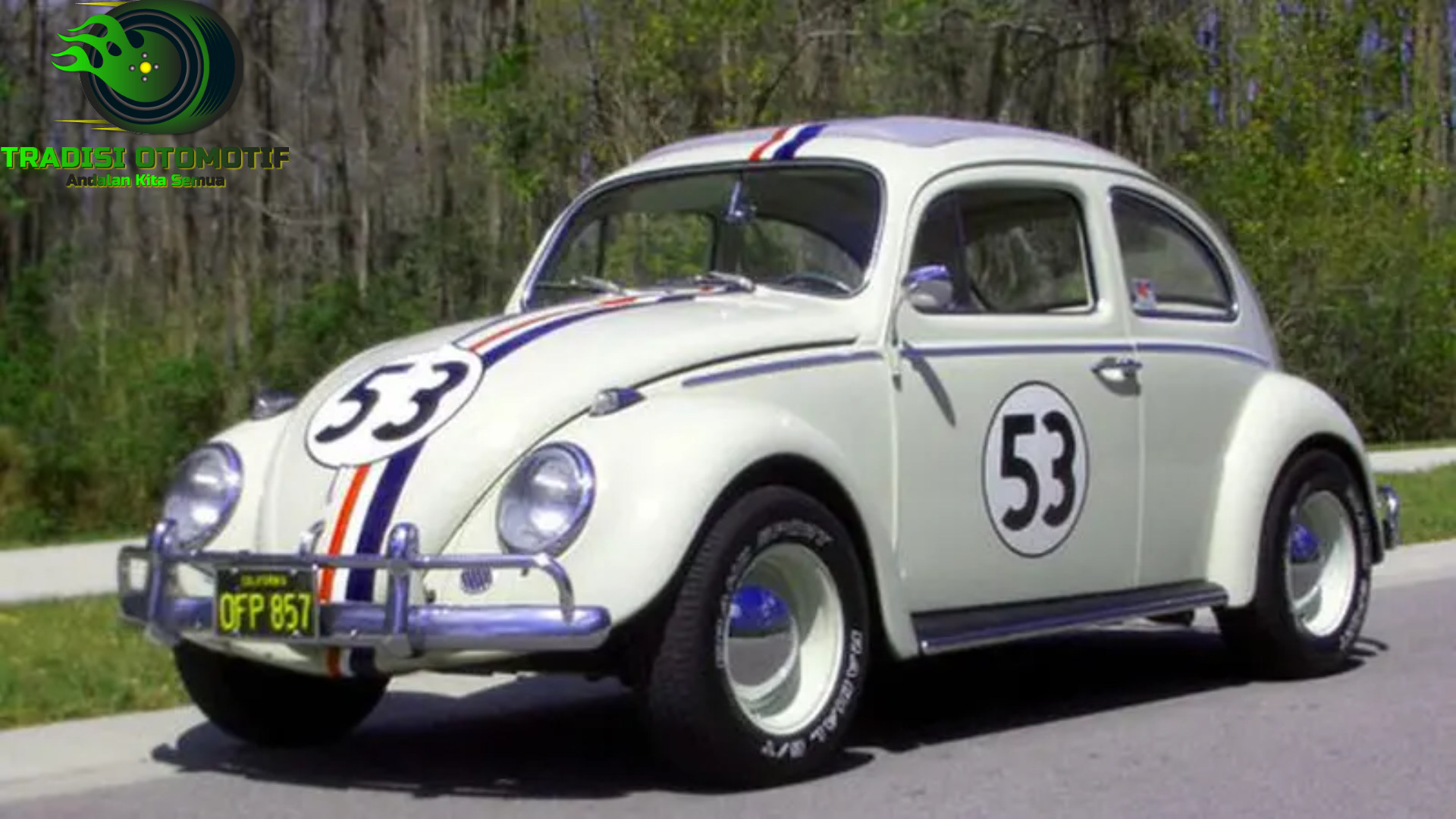 Mobil VW Kodok